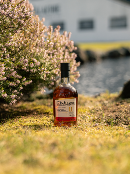 The GlenAllachie 11-year-old Palo Cortado Sherry Cask Matured